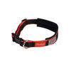 Collar Terapeutico Perro Therapy-Tec Negro Rojo Weatherbeeta