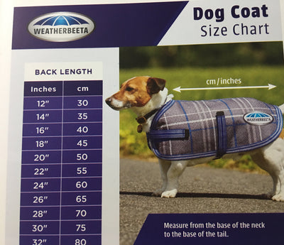 Weatherbeeta Comfitec Thermocell Dog Coat Outlet